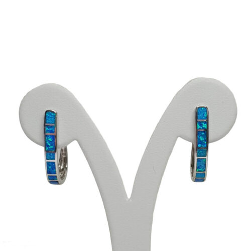 Blue Hoop Earrings